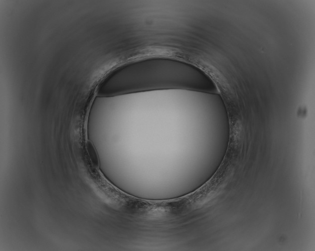X0000091660352200708230956
