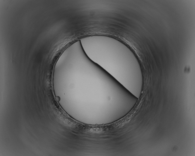 X0000091660353200708230956