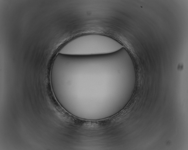 X0000091660354200708230956