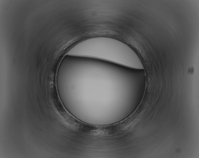 X0000091660356200708230956