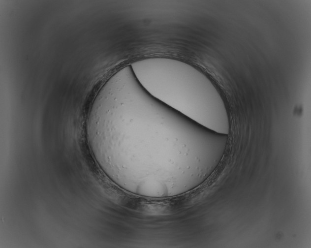 X0000091660359200708230956