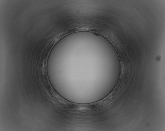 X0000091660360200708230956