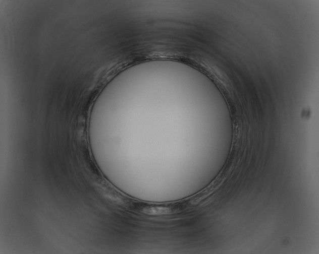 X0000091660361200708230956