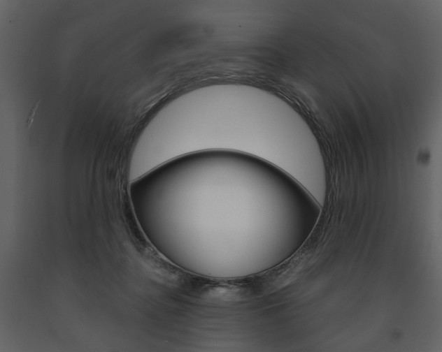 X0000091660364200708230956