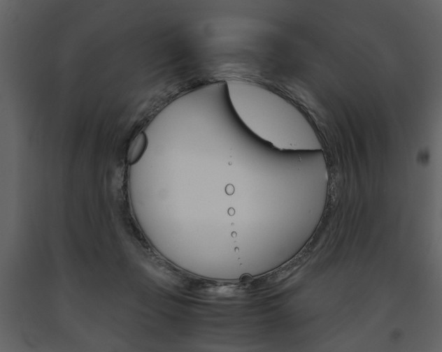 X0000091660365200708230956