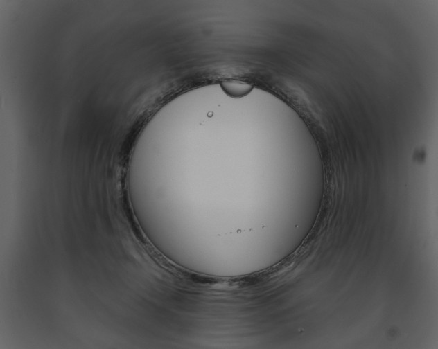 X0000091660366200708230956