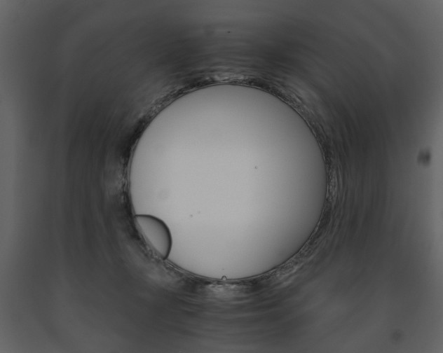X0000091660367200708230956