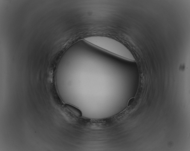 X0000091660368200708230956