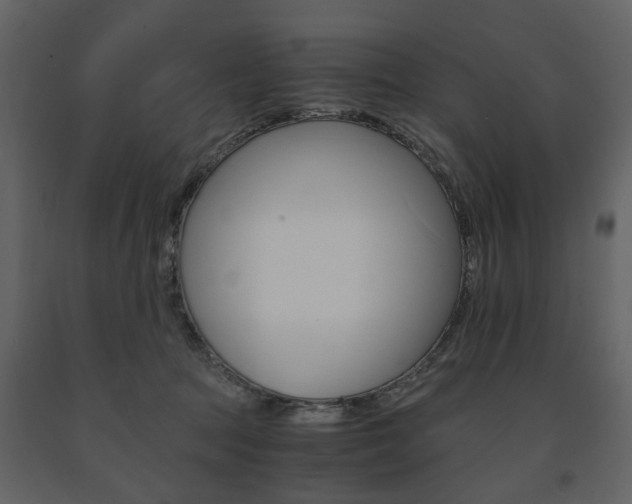X0000091660369200708230956