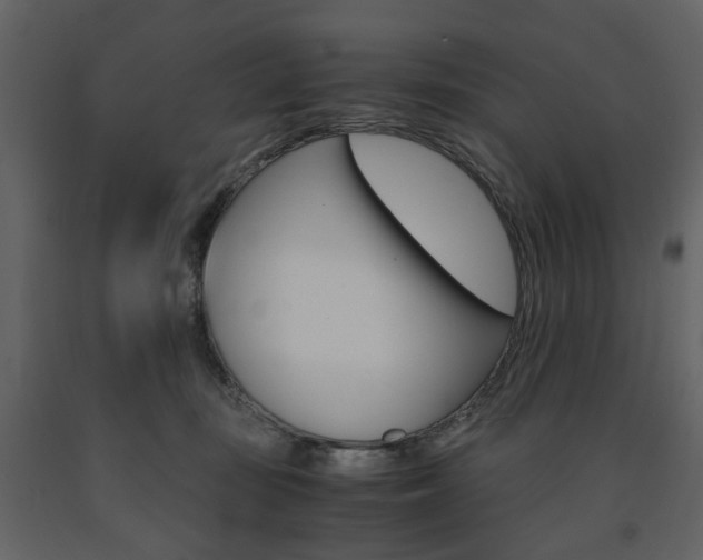 X0000091660371200708230956