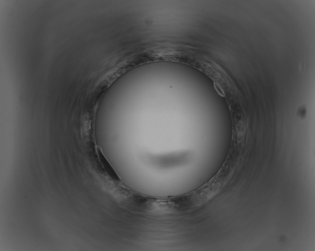 X0000091660372200708230956