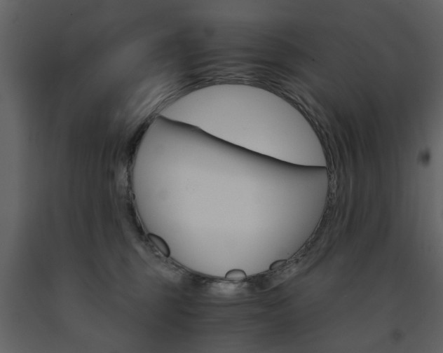 X0000091660375200708230956