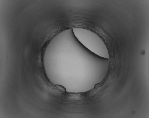 X0000091660377200708230956