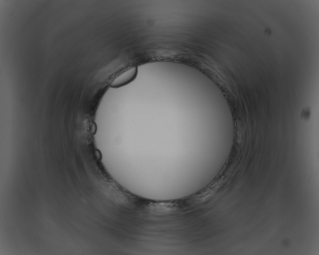 X0000091660378200708230956