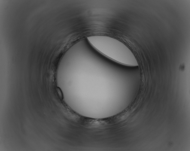 X0000091660379200708230956