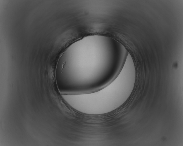 X0000091660380200708230956