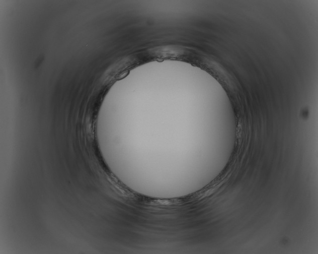 X0000091660381200708230956
