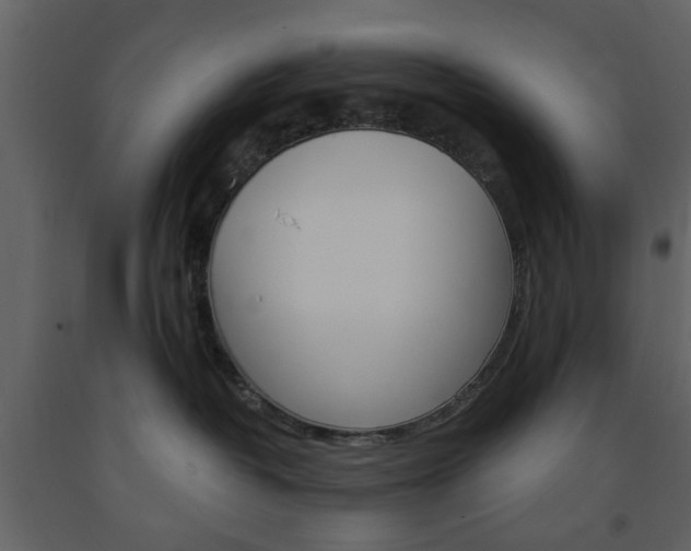 X0000091660382200708230956