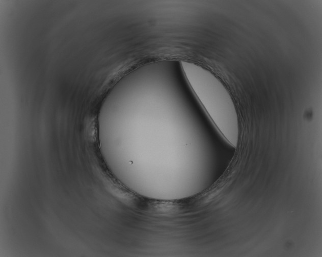 X0000091660383200708230956