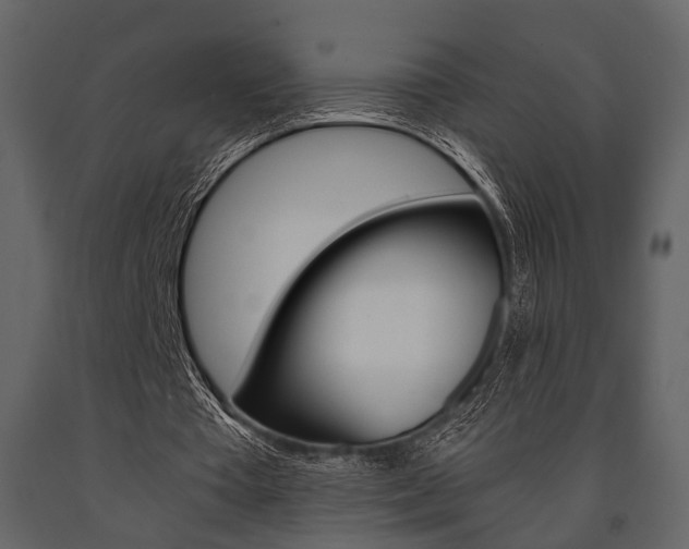 X0000091660385200708230956
