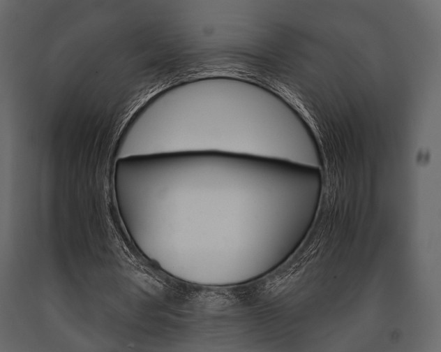 X0000091660386200708230956