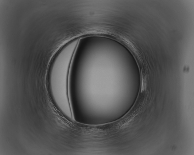 X0000091660387200708230956