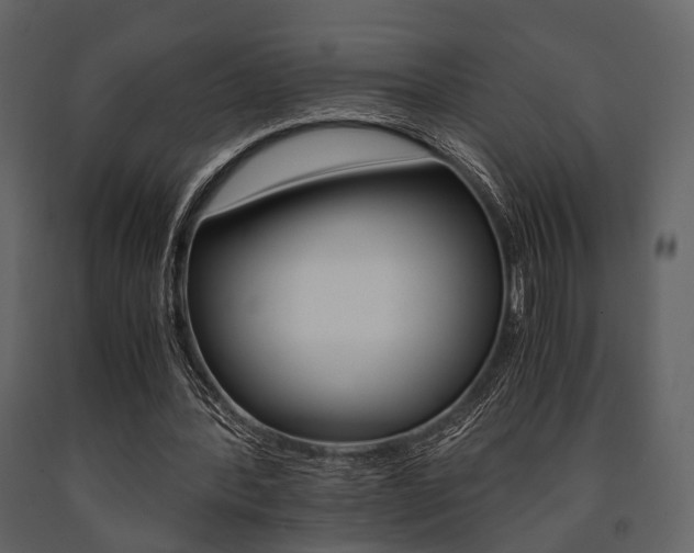 X0000091660388200708230956