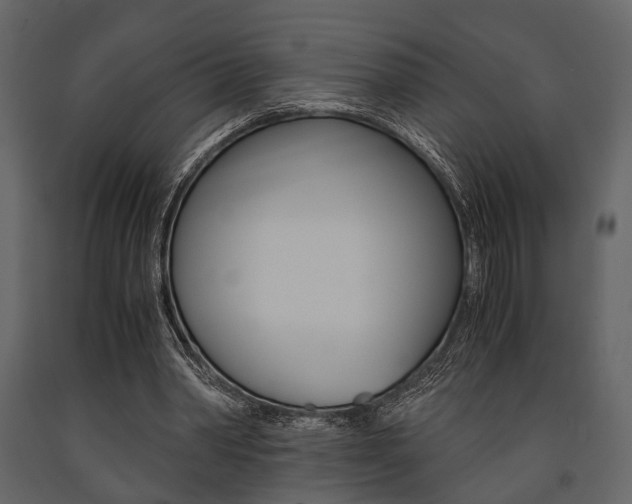 X0000091660390200708230955