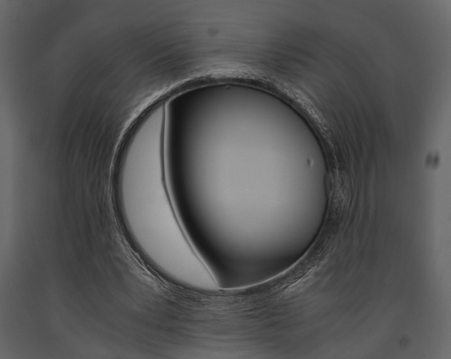 X0000091660391200708230955