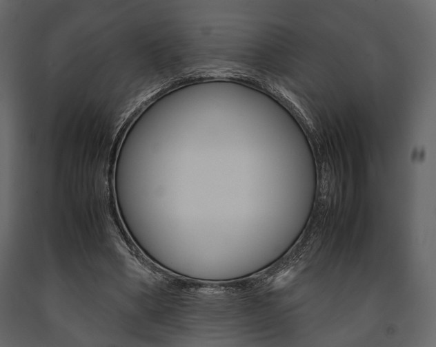 X0000091660394200708230955