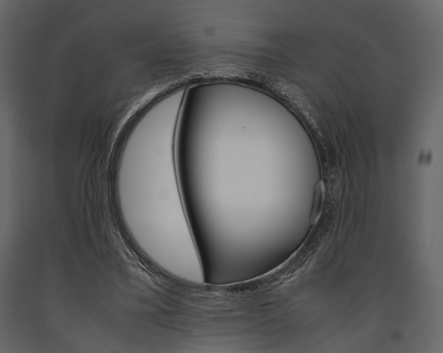 X0000091660395200708230955