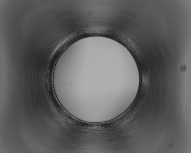 X0000091660396200708230955