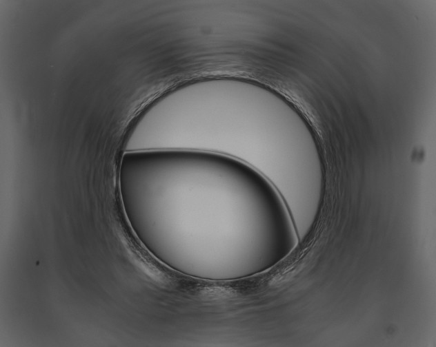 X0000091660397200708230955
