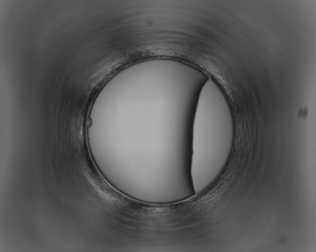 X0000091660398200708230955
