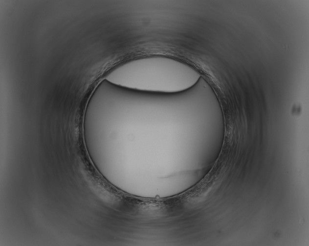 X0000091660402200708230955