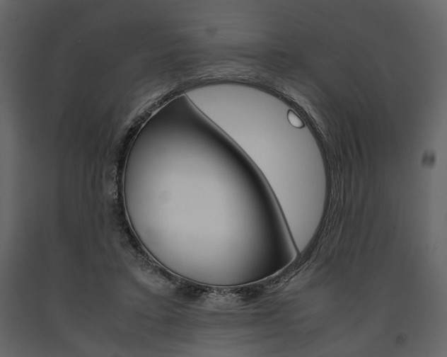 X0000091660403200708230955