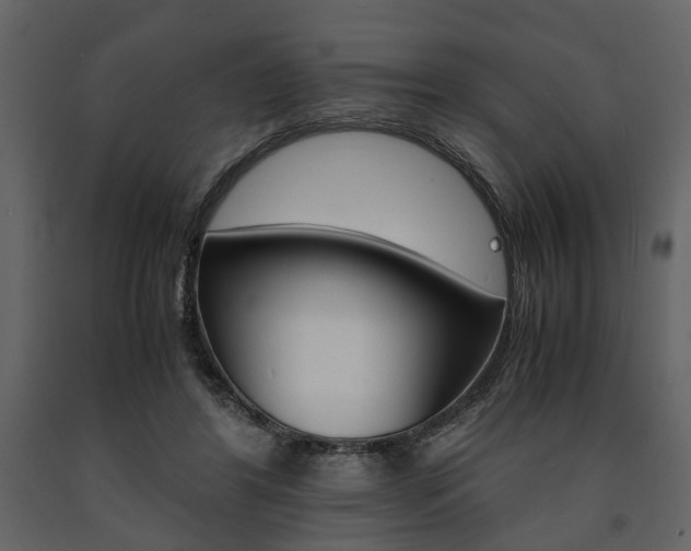 X0000091660404200708230955