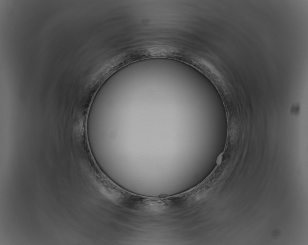X0000091660405200708230955
