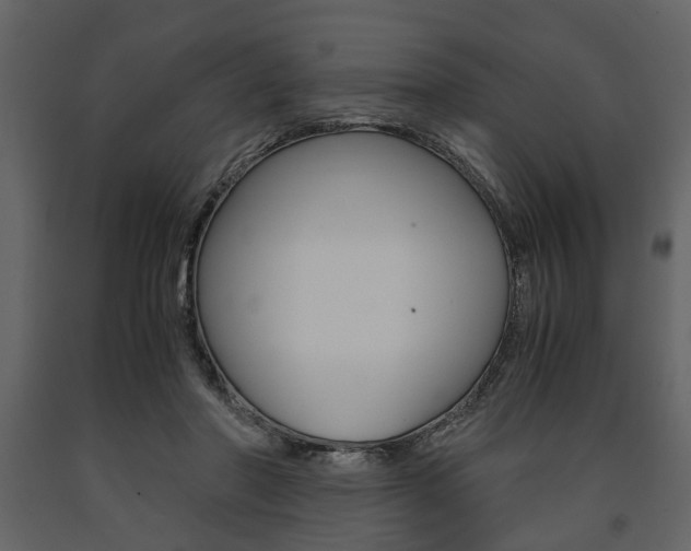 X0000091660406200708230955