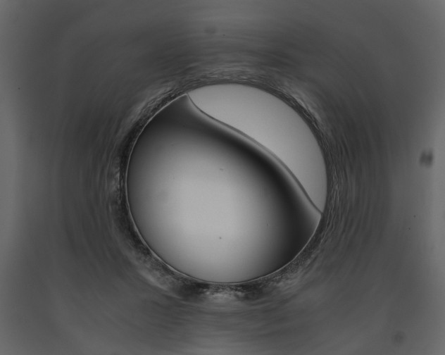 X0000091660407200708230955