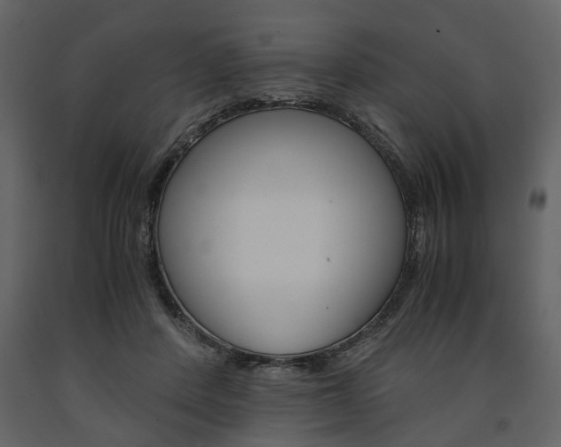 X0000091660408200708230955