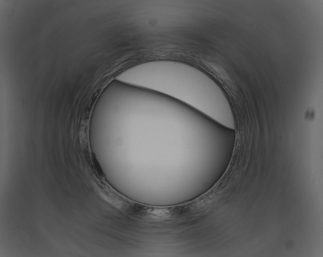 X0000091660409200708230955