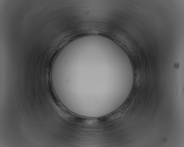 X0000091660410200708230955