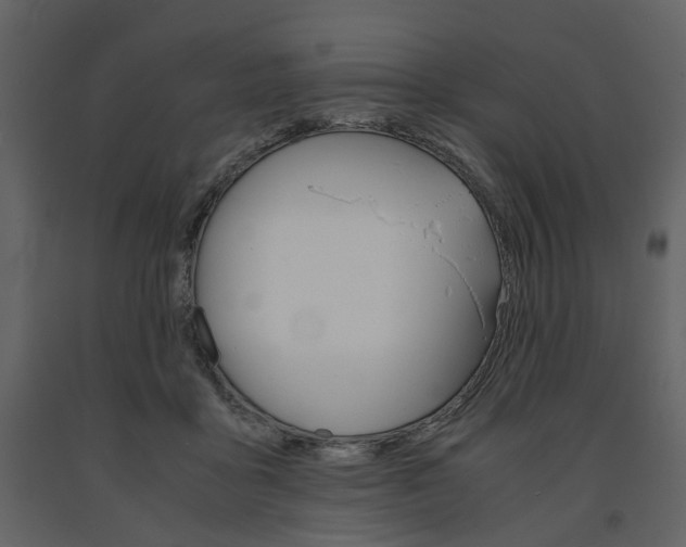 X0000091660411200708230955