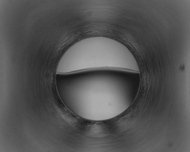X0000091660412200708230955