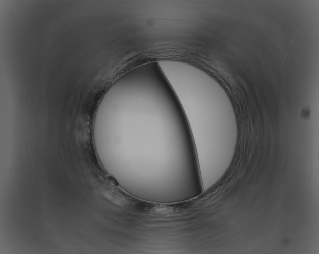 X0000091660413200708230955