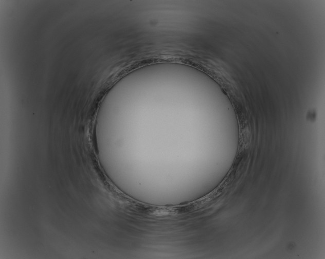X0000091660415200708230955