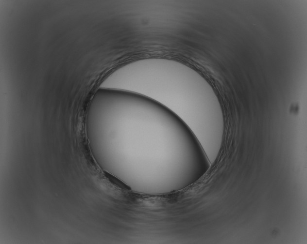 X0000091660417200708230955