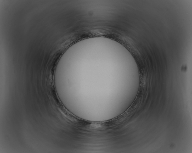X0000091660418200708230955