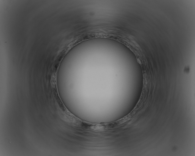 X0000091660419200708230955